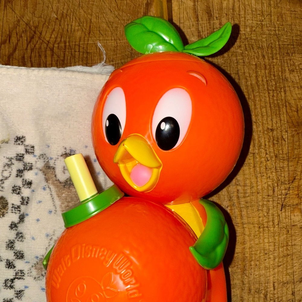 Orange Bird Drink Cup Sipper from Disney Parks WDW.